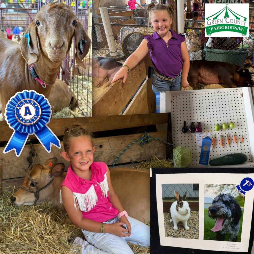 fair 2