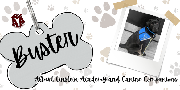 Albert Einstein Academy and Canine Companions