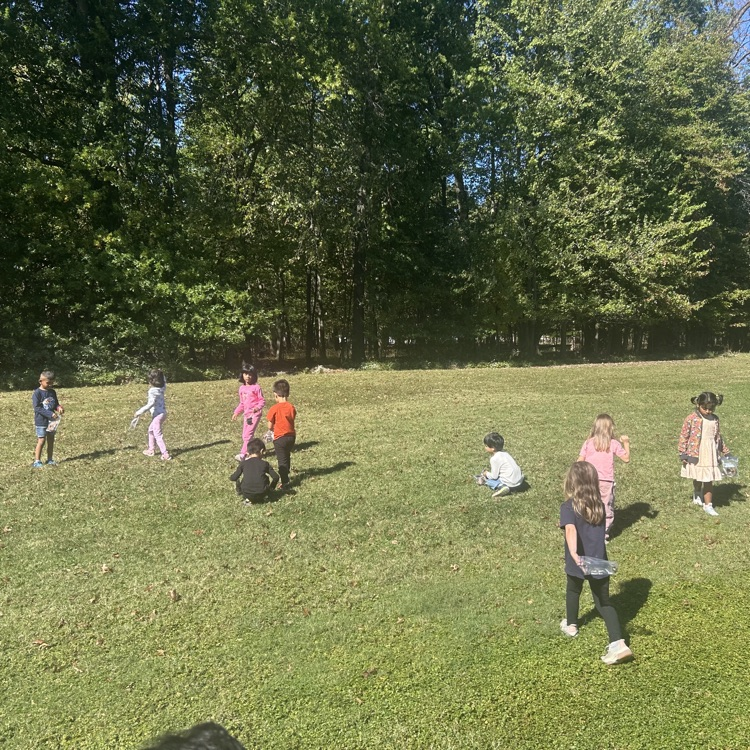 students collecting leaves