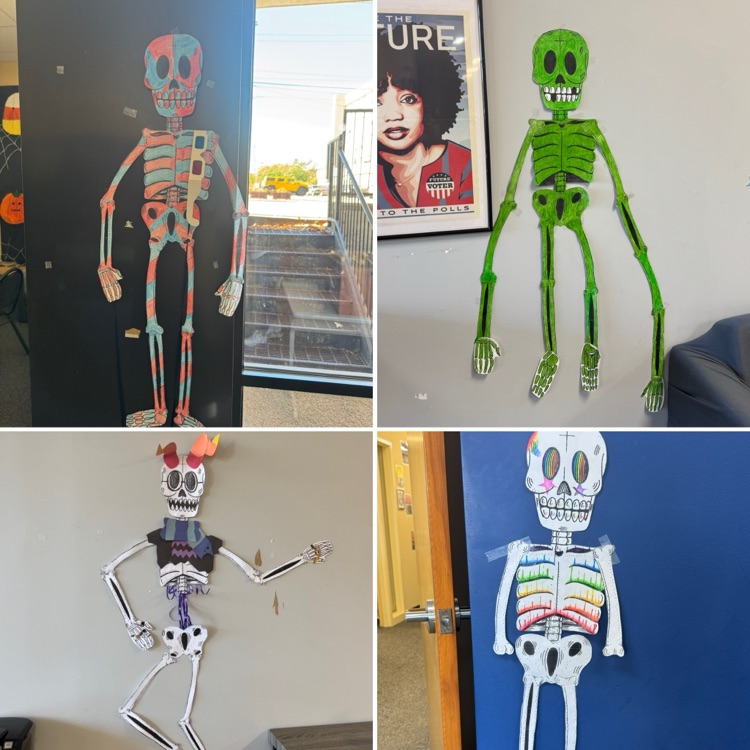 students skeleton art