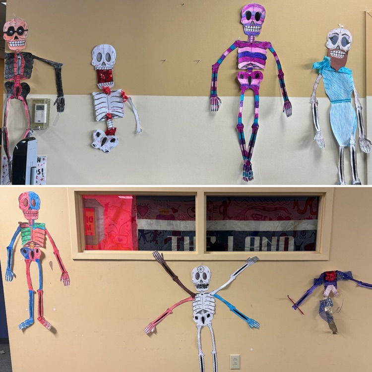 students skeleton art