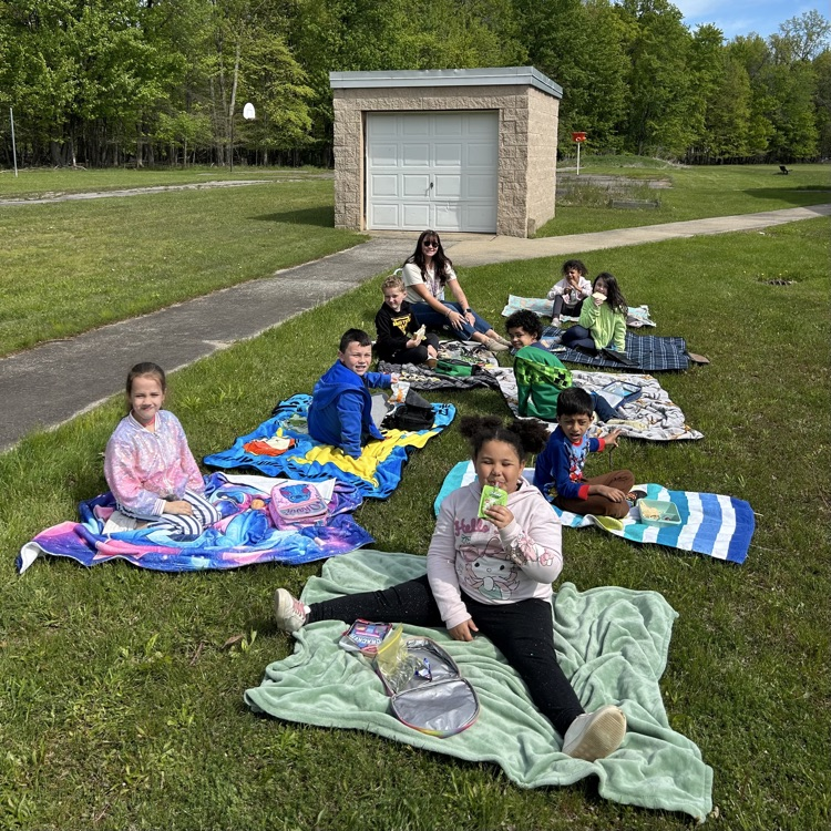 picnic lunch
