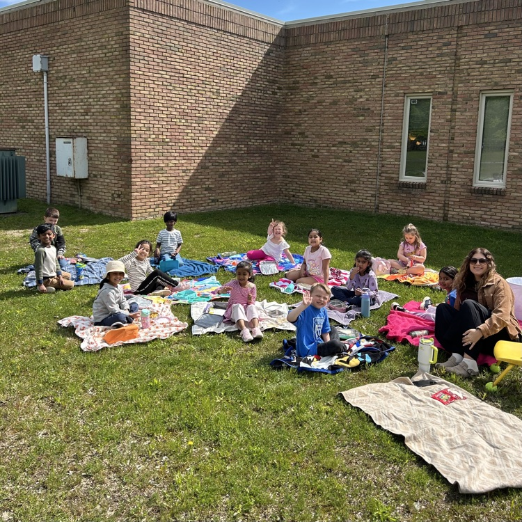 picnic lunch