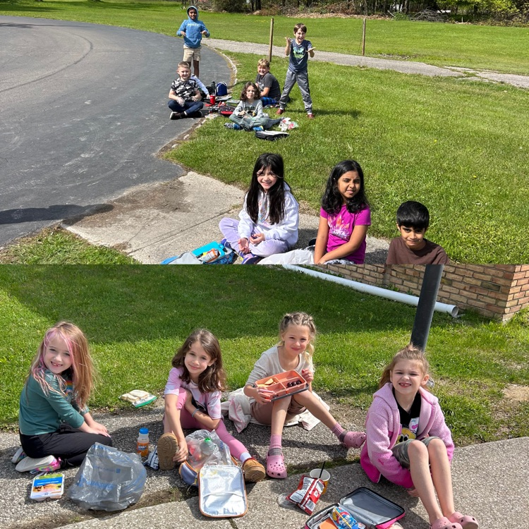 picnic lunch