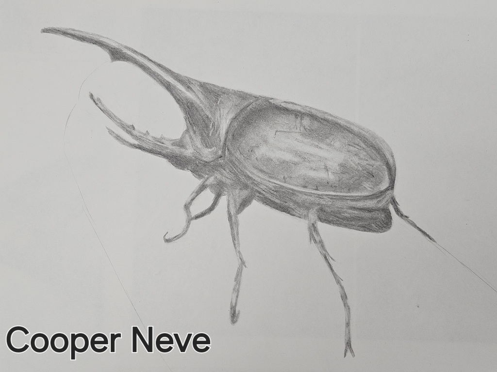Cooper Neve
