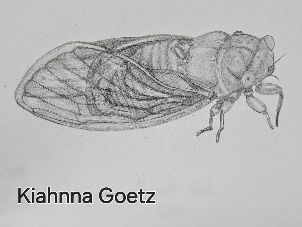 Kiahnna Goetz