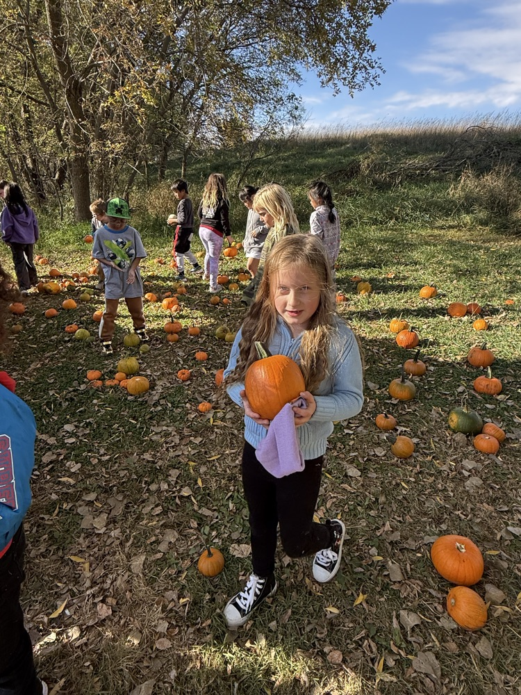 field trip 