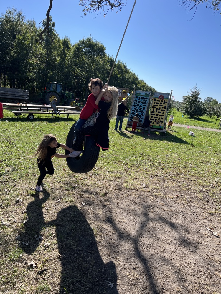 tire swing