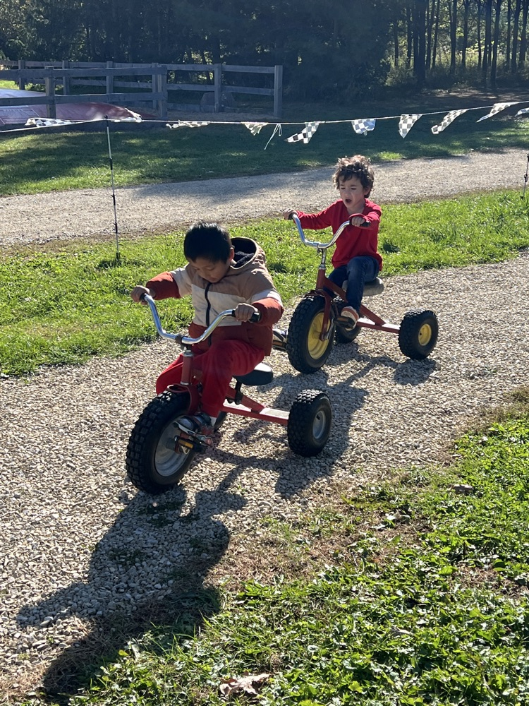 bikes