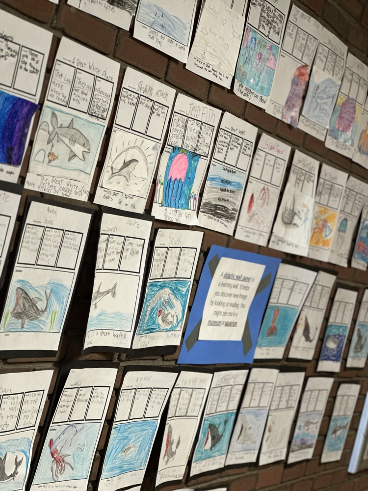3rd Grade Didactic Wall Panel