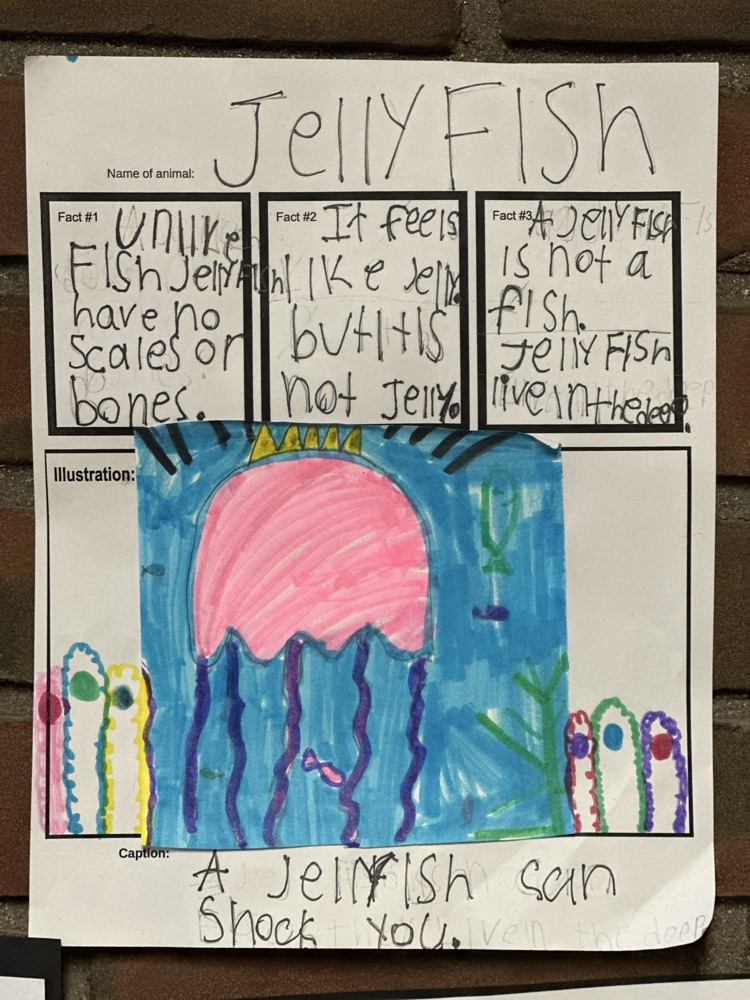 3rd Grade Didactic Wall Panel