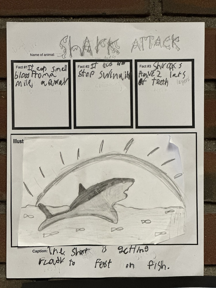 3rd Grade Didactic Wall Panel