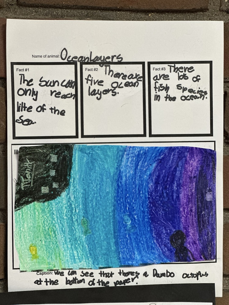 3rd Grade Didactic Wall Panel