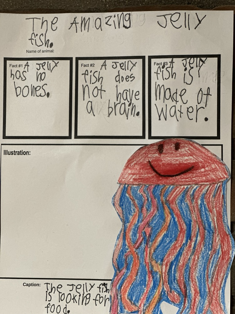 3rd Grade Didactic Wall Panel