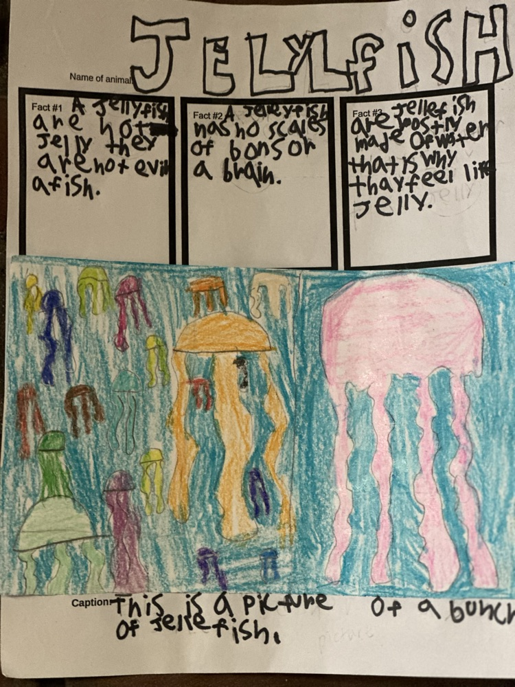 3rd Grade Didactic Wall Panel