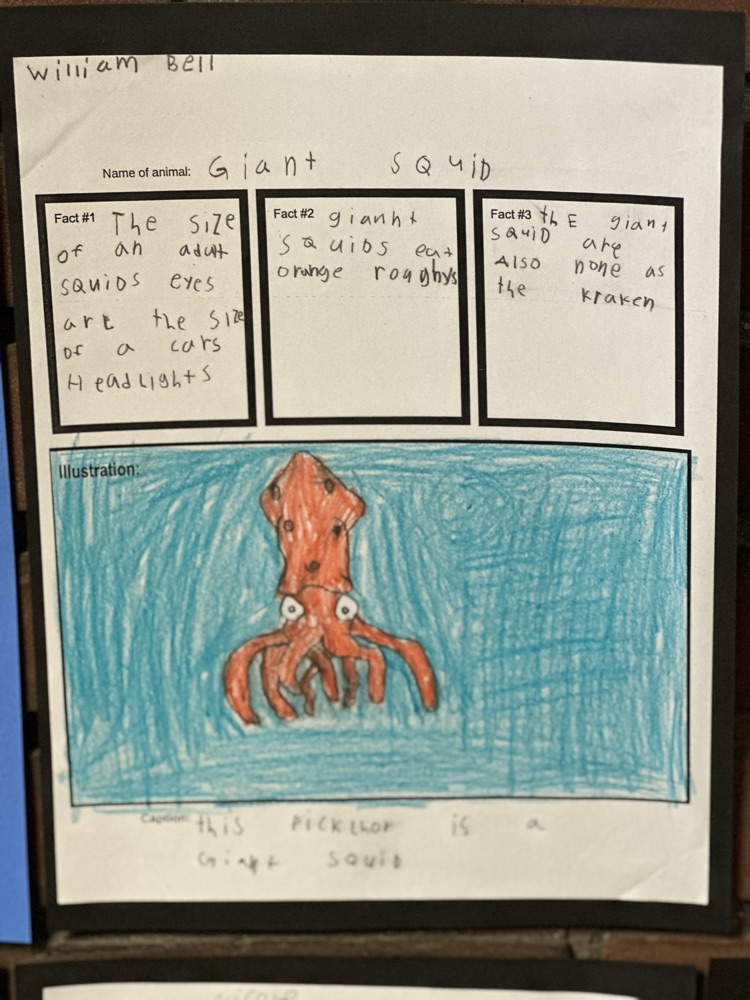 3rd Grade Didactic Wall Panel