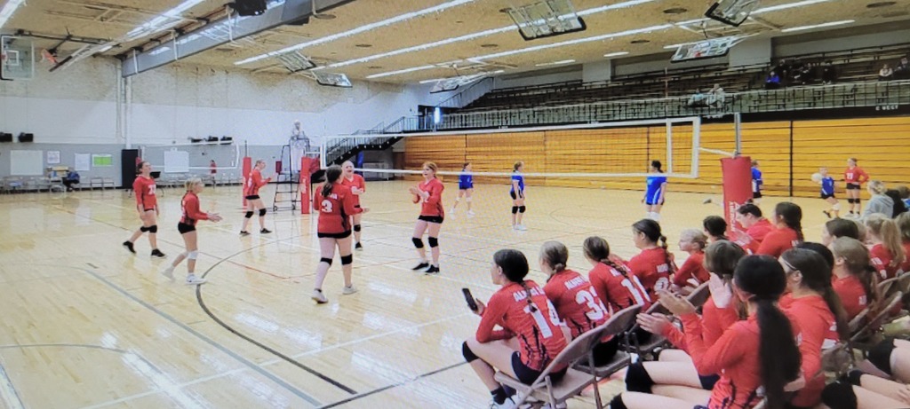 VB