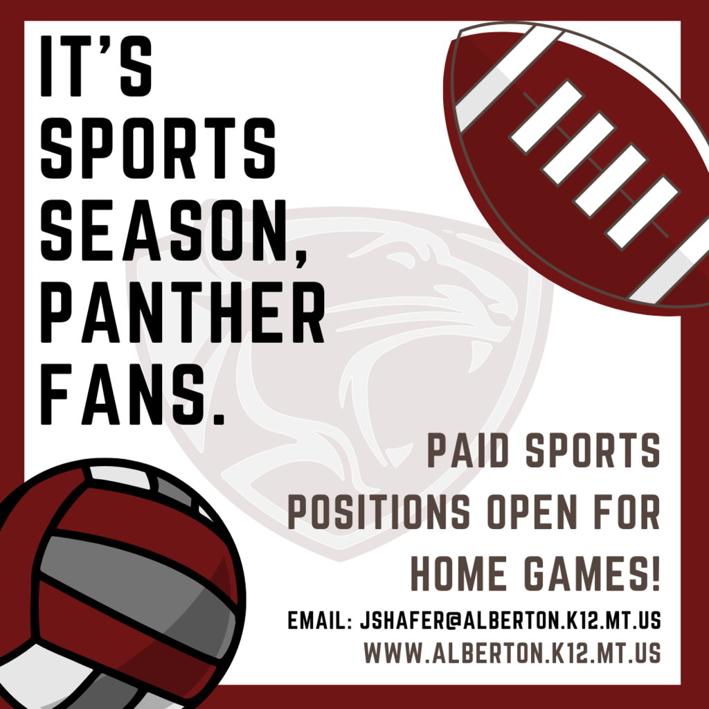 it's sports season, panther fans