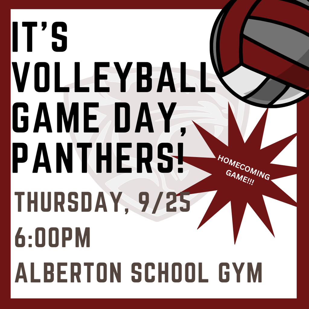 volleyball game day