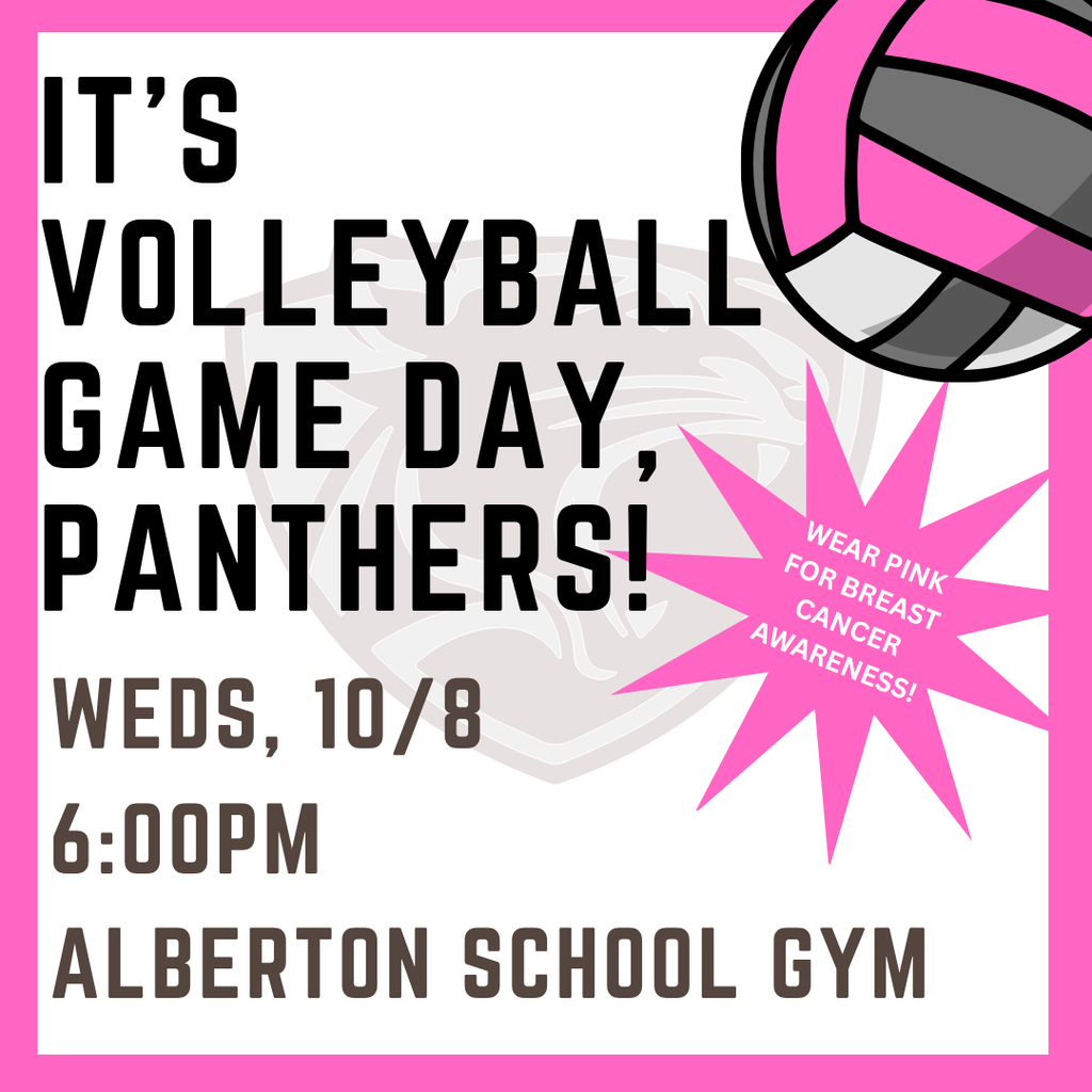 volleyball game day