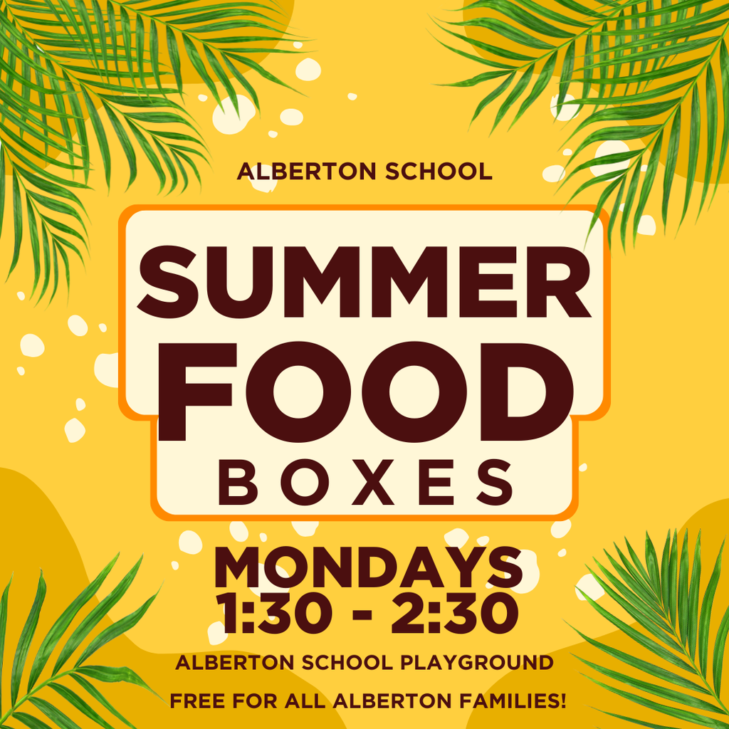 summer food boxes