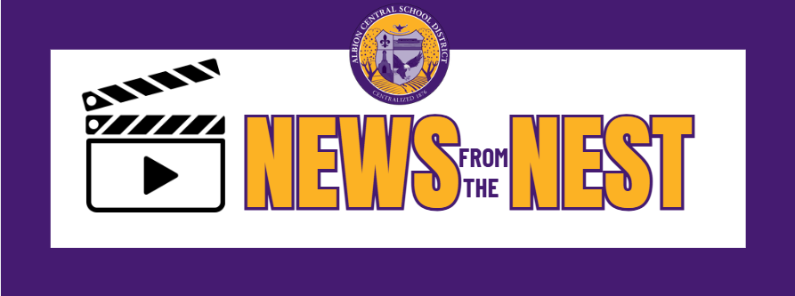 News from the Nest