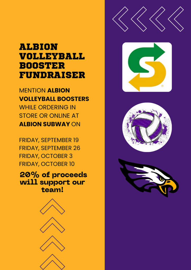 Volleyball fundraiser