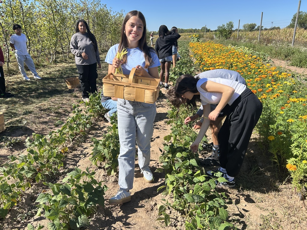 students harvesting vegetables