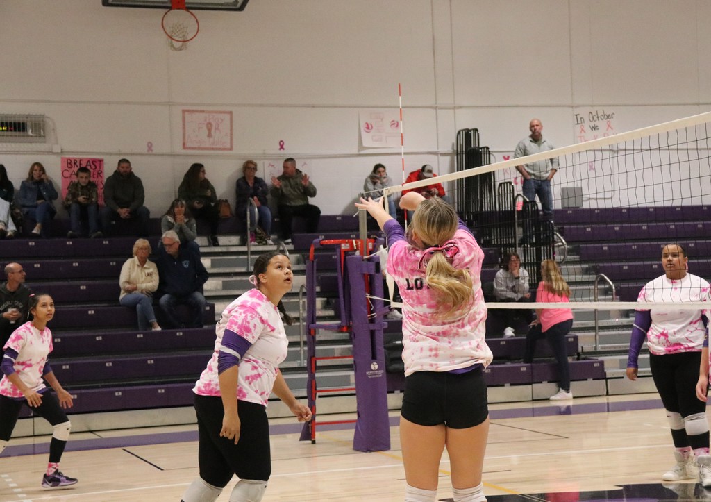 Volleyball