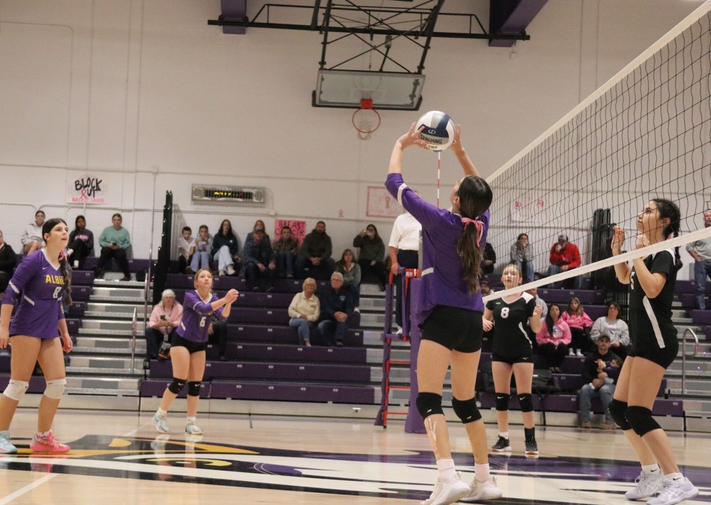 Volleyball