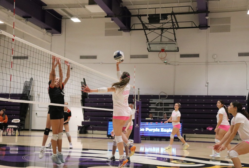 Volleyball