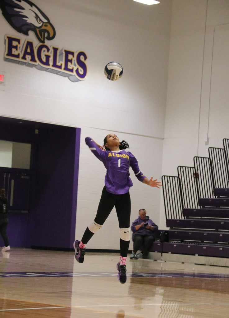 Volleyball