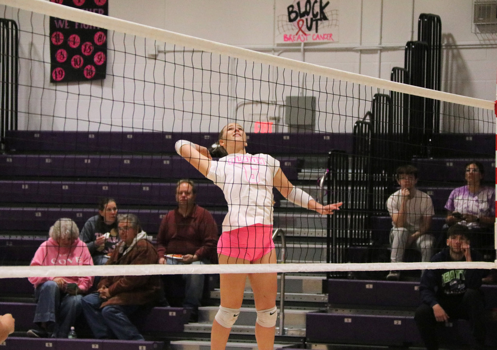 Volleyball