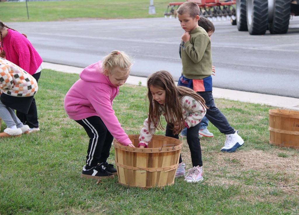 Fall Fest