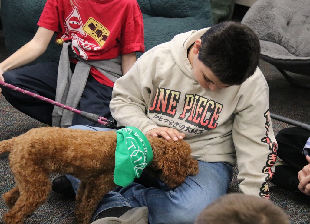 therapy dog