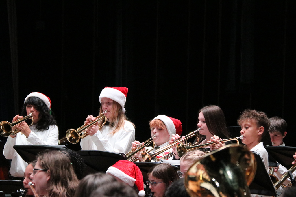 ms holiday concert