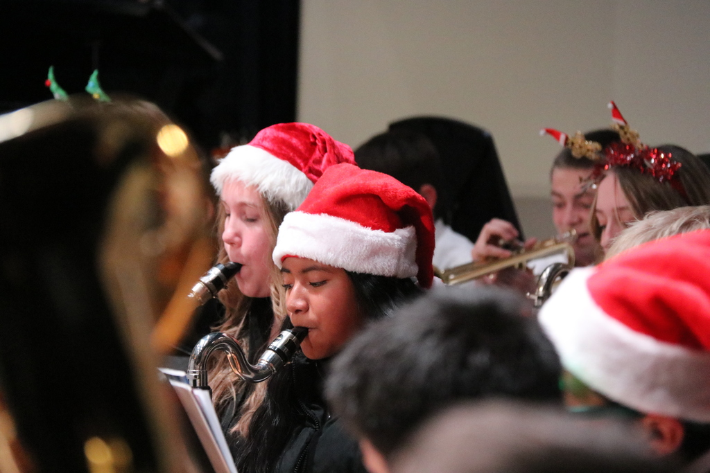 ms holiday concert