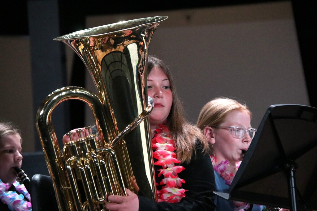 concert