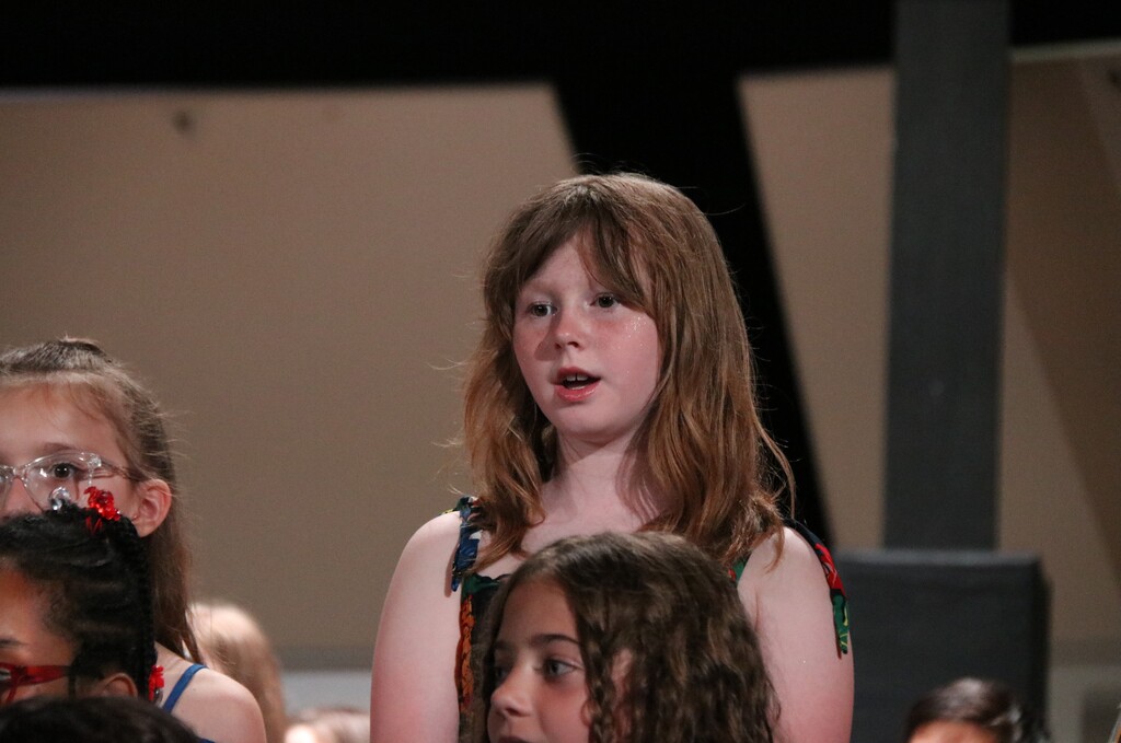 concert