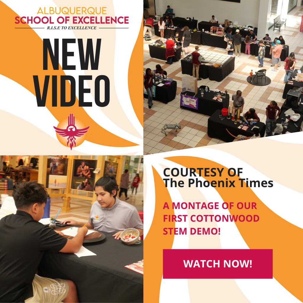 Phoenix Times Video