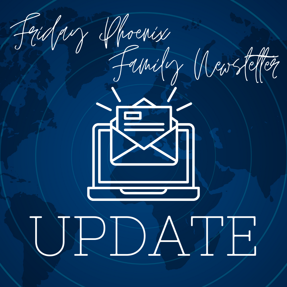 Newsletter Update Flyer