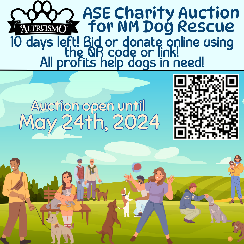 Charity auction flyer with qr code to scan
