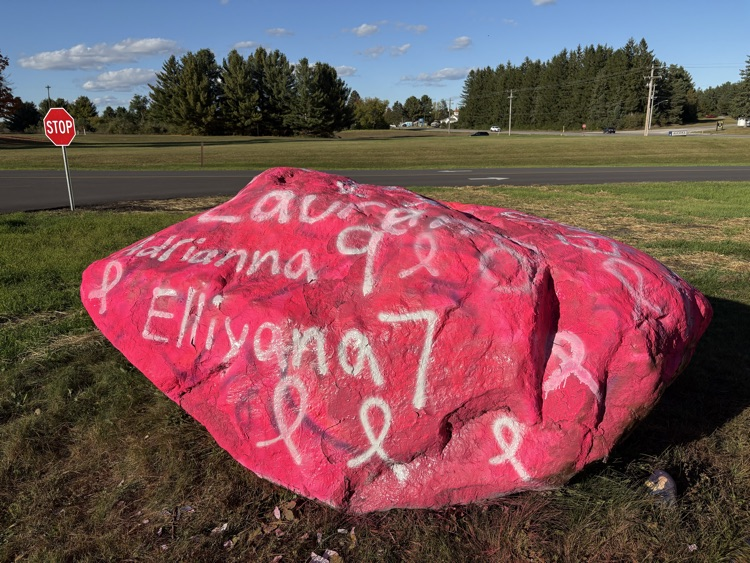 Alcona Schools