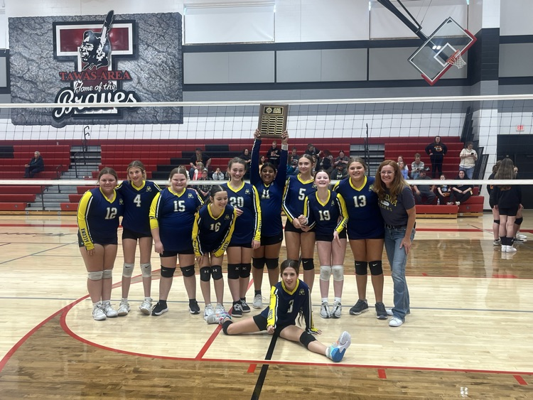 MS VB