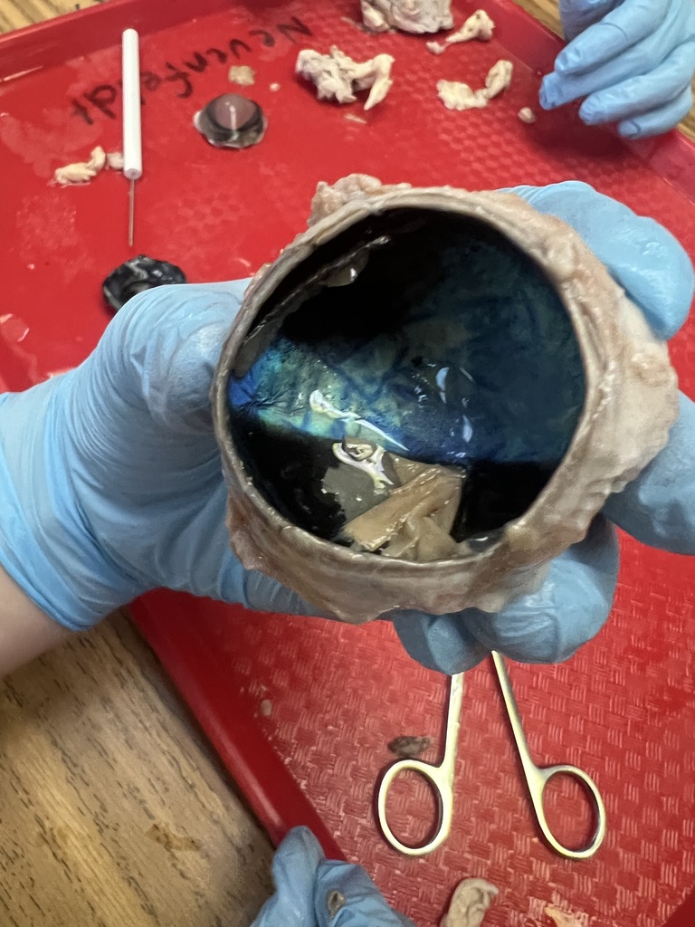 The tapedum they were looking for