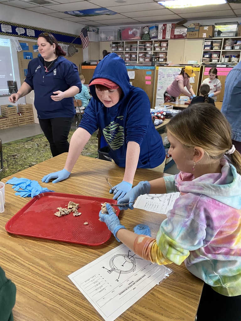 Investigating eye structures