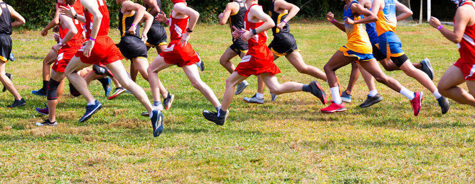 XC Debut