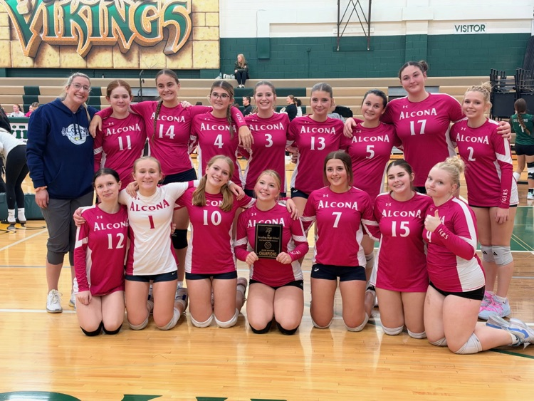 JV VB