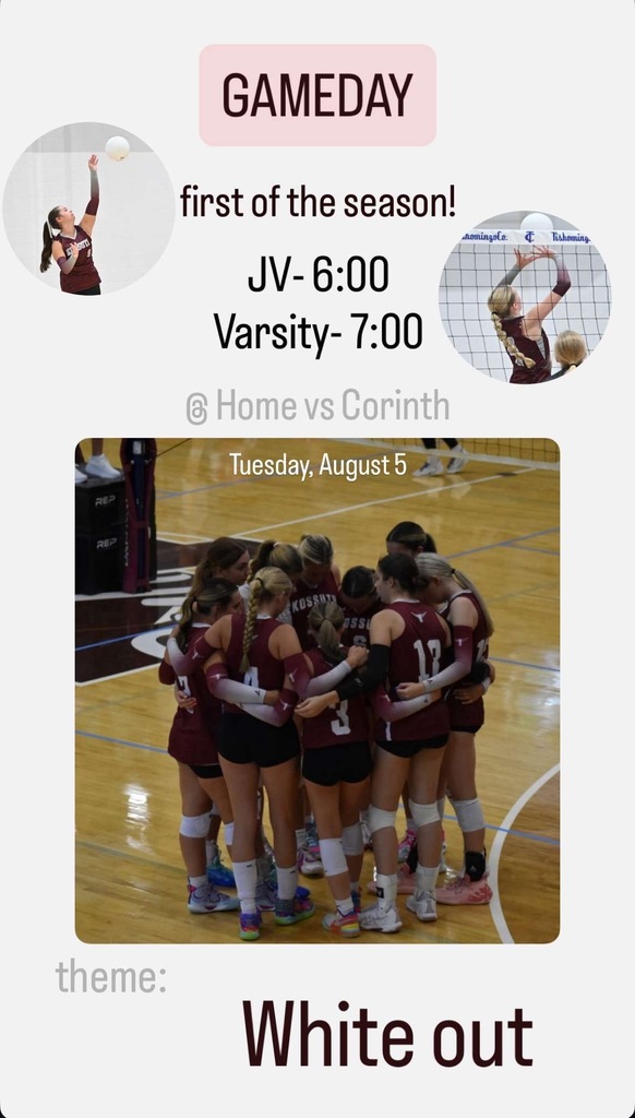 VolleyBall Game