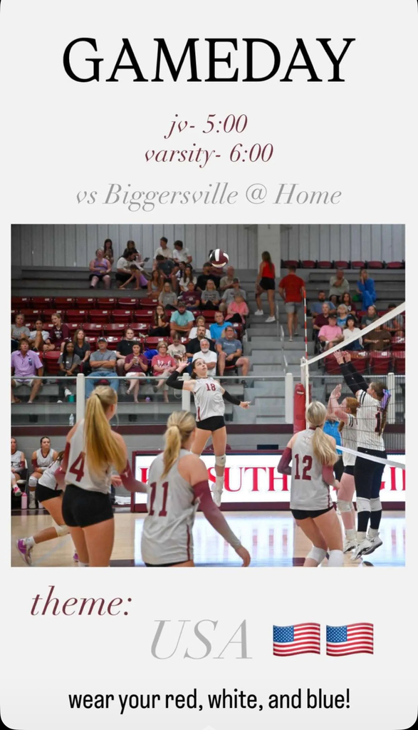 VolleyBall Game